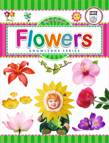 Children book set of 11